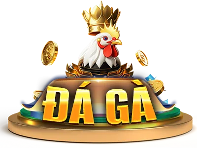 đá gà
